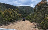 27-Jedi takes in the views along Hickey Creek Track